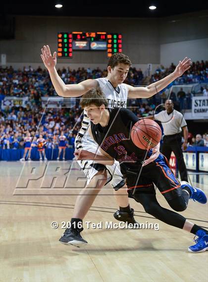 Thumbnail 2 in Charleston vs. Cedar Ridge (AAA 3A Final) photogallery.