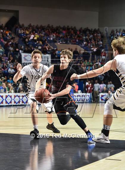 Thumbnail 3 in Charleston vs. Cedar Ridge (AAA 3A Final) photogallery.