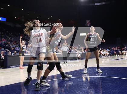 Thumbnail 3 in Salpointe Catholic vs Sahuaro (MLK Basketball Classic) photogallery.