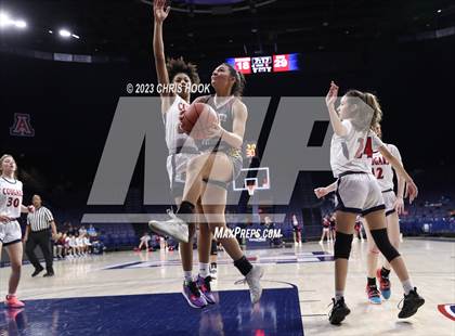 Thumbnail 3 in Salpointe Catholic vs Sahuaro (MLK Basketball Classic) photogallery.