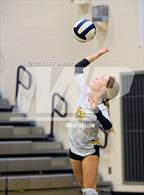 Photo from the gallery "Apex @ Green Level"