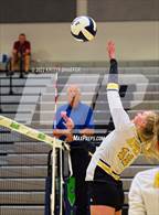 Photo from the gallery "Apex @ Green Level"