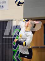 Photo from the gallery "Apex @ Green Level"