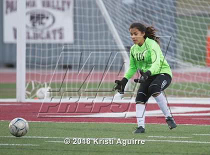 Thumbnail 1 in Patriot @ Paloma Valley photogallery.