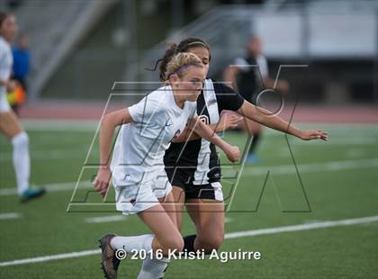 Thumbnail 1 in Patriot @ Paloma Valley photogallery.
