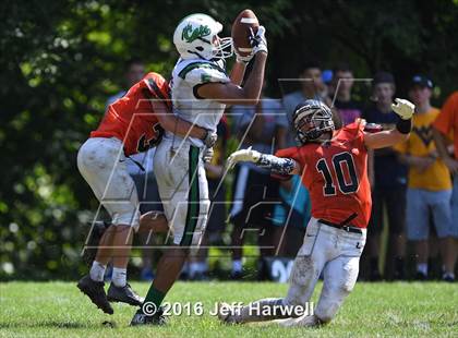 Thumbnail 1 in Mogadore @ Linsly photogallery.
