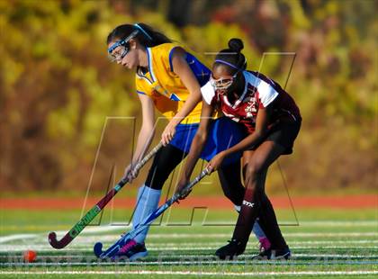 Thumbnail 2 in Ossining @ Mahopac photogallery.