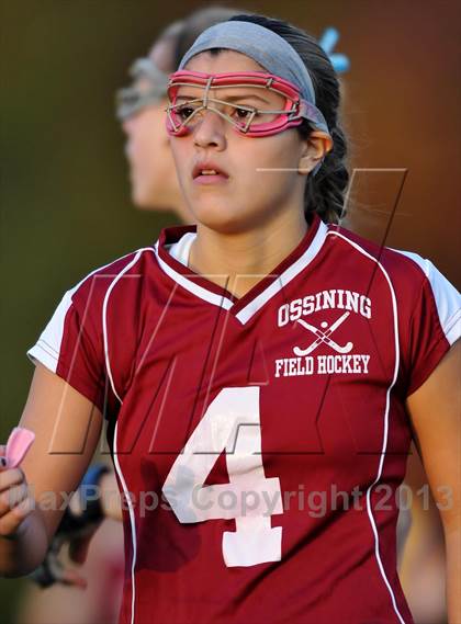 Thumbnail 2 in Ossining @ Mahopac photogallery.