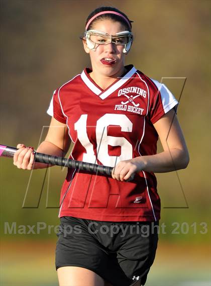 Thumbnail 3 in Ossining @ Mahopac photogallery.