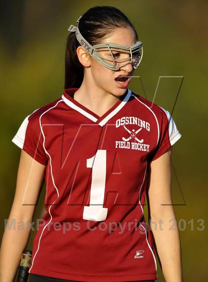Thumbnail 3 in Ossining @ Mahopac photogallery.