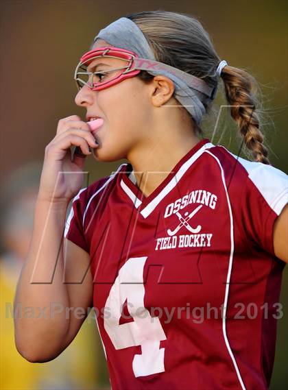Thumbnail 3 in Ossining @ Mahopac photogallery.
