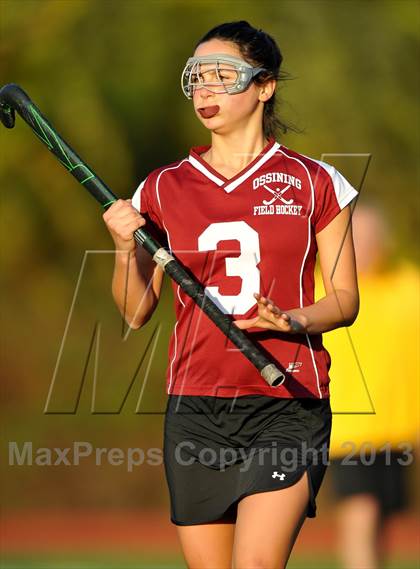 Thumbnail 3 in Ossining @ Mahopac photogallery.
