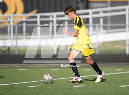 Thumbnail 3 in Loveland @ Prairie View photogallery.