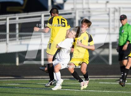 Thumbnail 2 in Loveland @ Prairie View photogallery.
