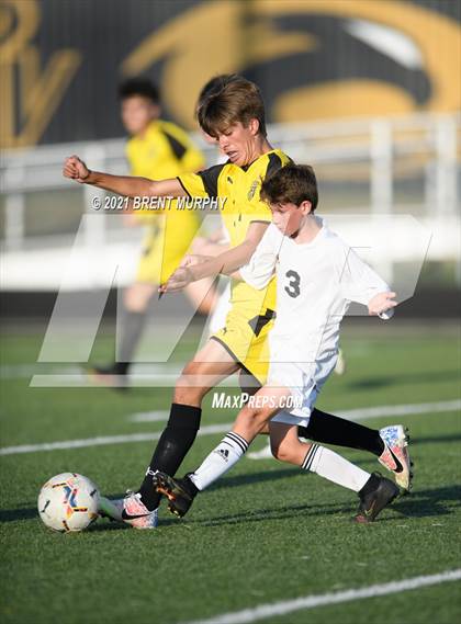 Thumbnail 1 in Loveland @ Prairie View photogallery.