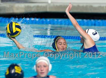 Thumbnail 1 in Poly vs. Warren (CIF SS D6 Final) photogallery.
