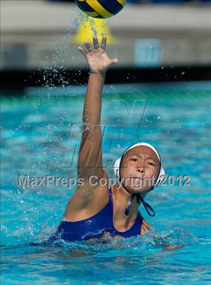 Thumbnail 1 in Poly vs. Warren (CIF SS D6 Final) photogallery.
