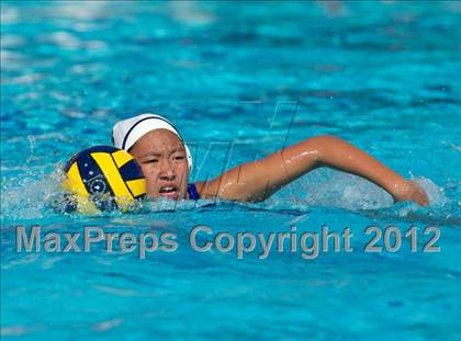 Thumbnail 2 in Poly vs. Warren (CIF SS D6 Final) photogallery.