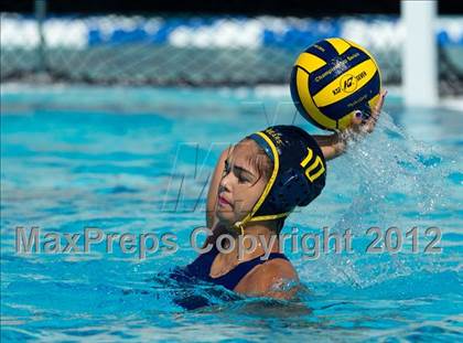 Thumbnail 2 in Poly vs. Warren (CIF SS D6 Final) photogallery.