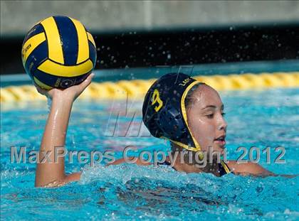 Thumbnail 1 in Poly vs. Warren (CIF SS D6 Final) photogallery.