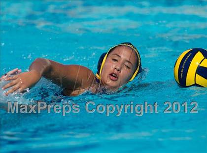 Thumbnail 3 in Poly vs. Warren (CIF SS D6 Final) photogallery.