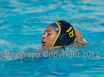 Thumbnail 1 in Poly vs. Warren (CIF SS D6 Final) photogallery.