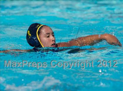 Thumbnail 1 in Poly vs. Warren (CIF SS D6 Final) photogallery.