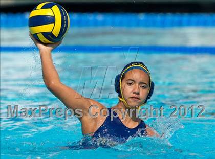 Thumbnail 2 in Poly vs. Warren (CIF SS D6 Final) photogallery.