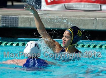 Thumbnail 2 in Poly vs. Warren (CIF SS D6 Final) photogallery.