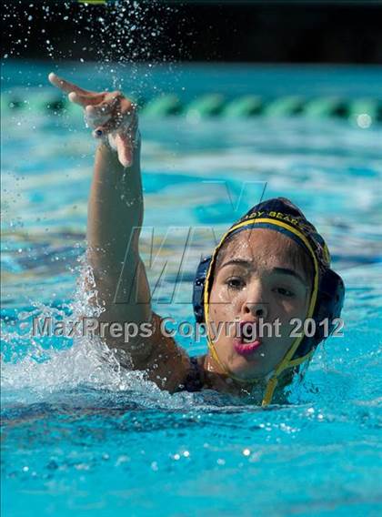 Thumbnail 3 in Poly vs. Warren (CIF SS D6 Final) photogallery.