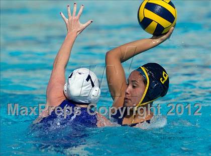 Thumbnail 3 in Poly vs. Warren (CIF SS D6 Final) photogallery.