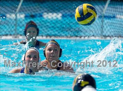 Thumbnail 2 in Poly vs. Warren (CIF SS D6 Final) photogallery.