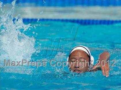 Thumbnail 2 in Poly vs. Warren (CIF SS D6 Final) photogallery.