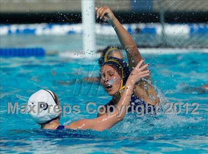 Thumbnail 2 in Poly vs. Warren (CIF SS D6 Final) photogallery.