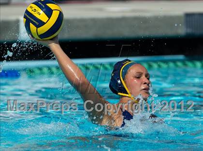 Thumbnail 2 in Poly vs. Warren (CIF SS D6 Final) photogallery.