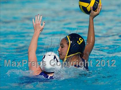 Thumbnail 2 in Poly vs. Warren (CIF SS D6 Final) photogallery.