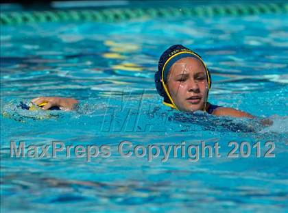 Thumbnail 1 in Poly vs. Warren (CIF SS D6 Final) photogallery.