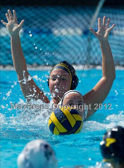 Thumbnail 3 in Poly vs. Warren (CIF SS D6 Final) photogallery.