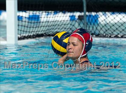 Thumbnail 1 in Poly vs. Warren (CIF SS D6 Final) photogallery.