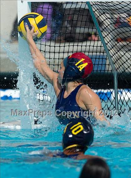 Thumbnail 2 in Poly vs. Warren (CIF SS D6 Final) photogallery.