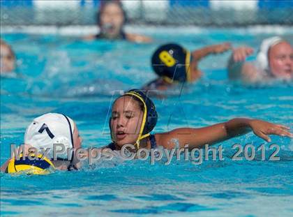 Thumbnail 1 in Poly vs. Warren (CIF SS D6 Final) photogallery.
