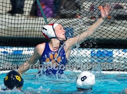 Thumbnail 1 in Poly vs. Warren (CIF SS D6 Final) photogallery.