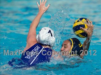 Thumbnail 1 in Poly vs. Warren (CIF SS D6 Final) photogallery.