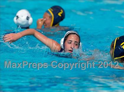Thumbnail 1 in Poly vs. Warren (CIF SS D6 Final) photogallery.