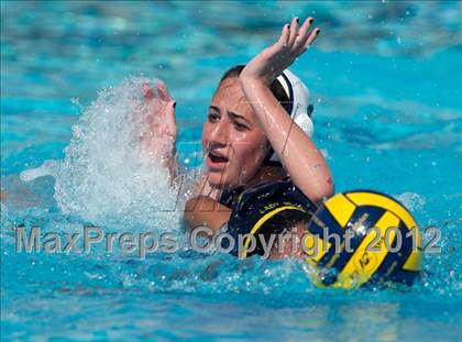 Thumbnail 3 in Poly vs. Warren (CIF SS D6 Final) photogallery.