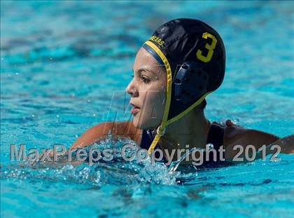 Thumbnail 3 in Poly vs. Warren (CIF SS D6 Final) photogallery.