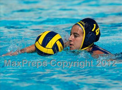 Thumbnail 1 in Poly vs. Warren (CIF SS D6 Final) photogallery.