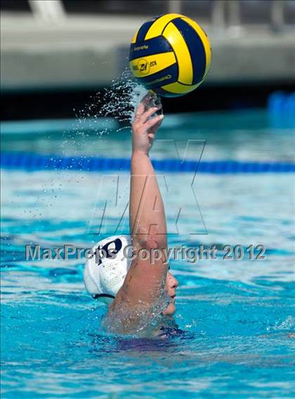 Thumbnail 2 in Poly vs. Warren (CIF SS D6 Final) photogallery.