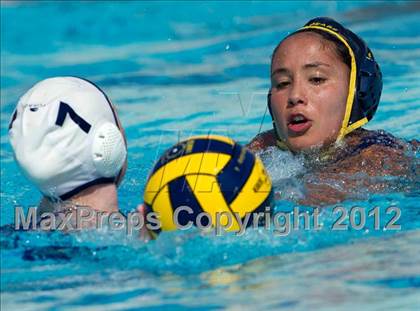 Thumbnail 3 in Poly vs. Warren (CIF SS D6 Final) photogallery.