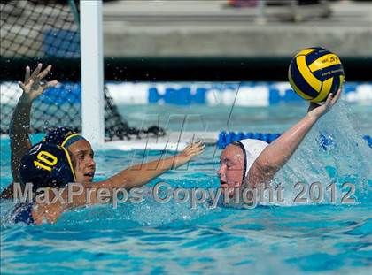 Thumbnail 3 in Poly vs. Warren (CIF SS D6 Final) photogallery.